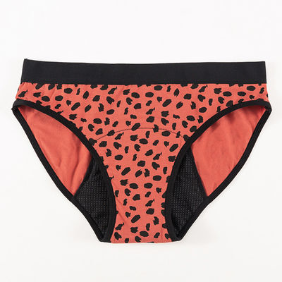 Girl Student Teen Period Panties Leakproof Teenager Wearing Thong 4 Layers